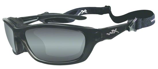 Picture of Wiley-X Brick Sunglasses