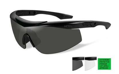 Picture of Wiley-X Talon Advanced Sunglasses