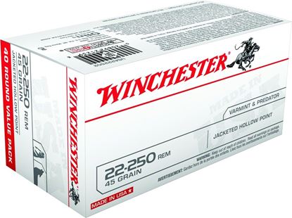 Picture of Winchester USA222502 Best Value USA Rifle Ammo 22-250 REM, JHP, 45 Grains, 4000 fps, 40, Boxed