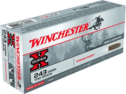 Picture of Winchester X243WSS Super-X Rifle Ammo 243 WSSM, Power-Point, 100 Grains, 3110 fps, 20, Boxed