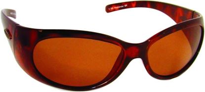 Picture of Sea Striker Weekender Sunglasses