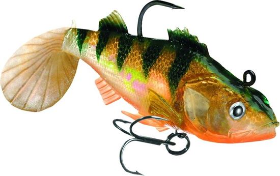 Picture of Storm Wildeye® Live - Perch