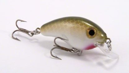 Picture of Strike King Bitsy Pond Minnow