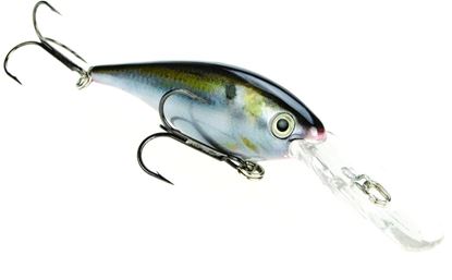 Picture of Strike King Pro Model Extra Deep Series 8XD Crankbait