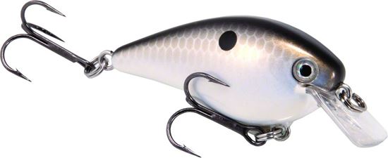 Picture of Strike King KVD Square Bill Series 2.5 Crankbait