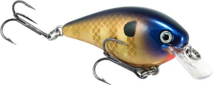 Picture of Strike King KVD Square Bill Series 2.5 Crankbait