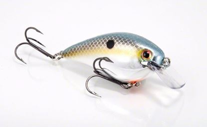 Picture of Strike King KVD Square Bill Series 2.5 Crankbait