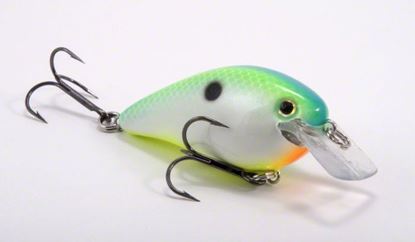 Picture of Strike King KVD Square Bill Series 2.5 Crankbait