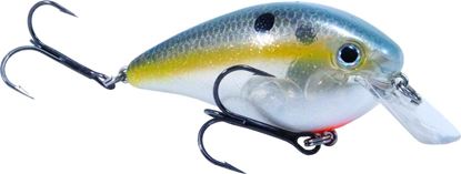 Picture of Strike King KVD Square Bill Series 2.5 Crankbait