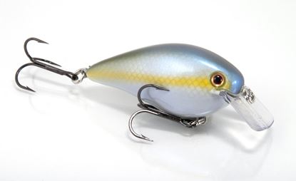 Picture of Strike King KVD Square Bill Series 2.5 Crankbait