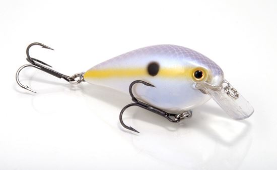 Picture of Strike King KVD Square Bill Series 2.5 Crankbait