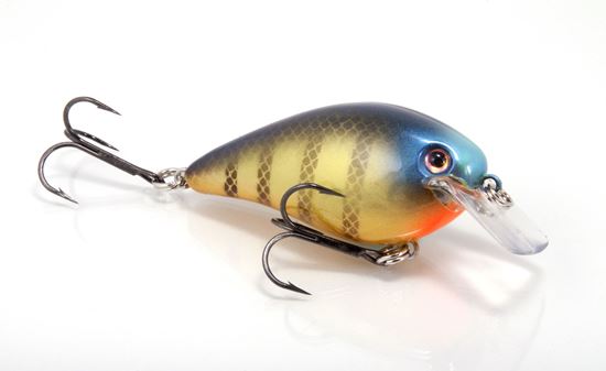 Picture of Strike King KVD Square Bill Series 2.5 Crankbait