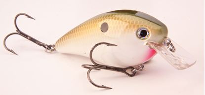 Picture of Strike King KVD Square Bill Series 2.5 Crankbait