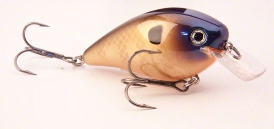 Picture of Strike King KVD Square Bill Series 2.5 Crankbait