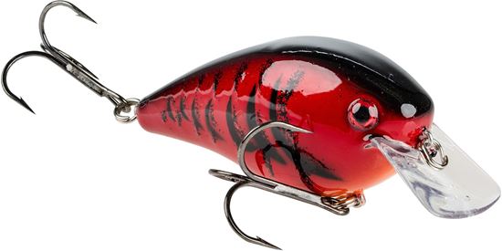 Picture of Strike King KVD Square Bill Series 2.5 Crankbait