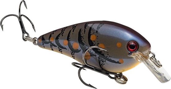 Picture of Strike King KVD Square Bill Series 2.5 Crankbait