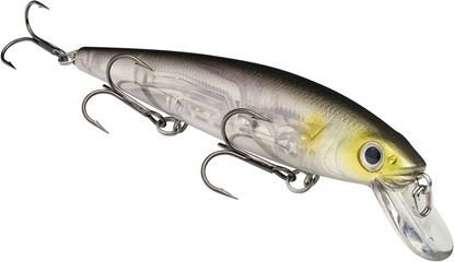 Picture of Strike King KVD Jerkbait