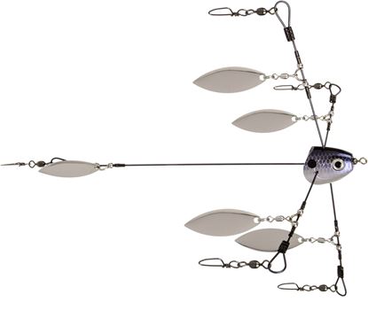 Picture of Strike King TGTRSHW-583 Tour Grade Umbrella Rig, 9", Blue Gizzard Shad,1pk