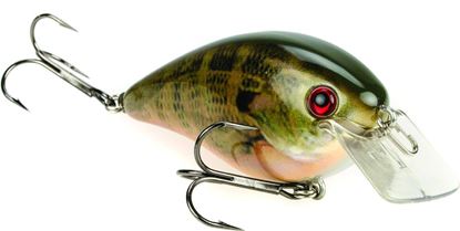 Picture of Strike King KVD Square Bill Series 8.0 Crankbait