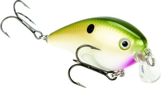 Picture of Strike King KVD Square Bill Series 1.5 Shallow Crankbait