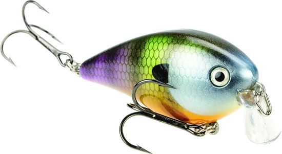 Picture of Strike King KVD Square Bill Series 1.5 Shallow Crankbait