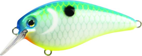 Picture of Strike King KVD Square Bill Series 1.5 Shallow Crankbait