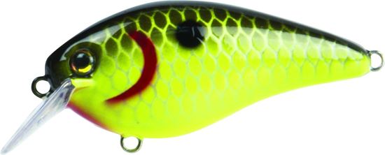 Picture of Strike King KVD Square Bill Series 1.5 Shallow Crankbait