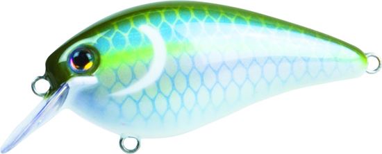 Picture of Strike King KVD Square Bill Series 1.5 Shallow Crankbait