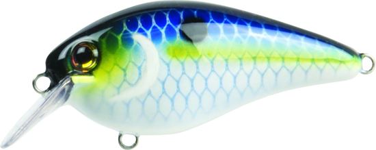 Picture of Strike King KVD Square Bill Series 1.5 Shallow Crankbait