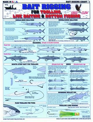 Picture of Bait Rigging Charts