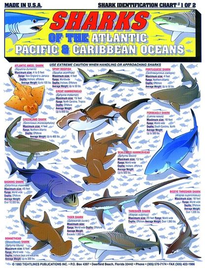 Picture of Fish Identification Charts