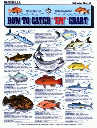 Picture of How To Catch "Em" Charts