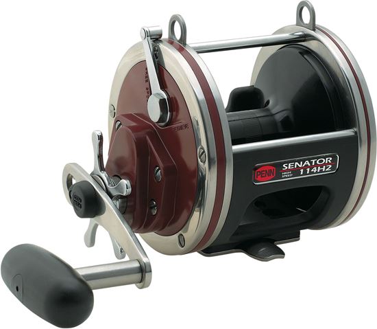 Picture of Penn Special Senator® Star Drag Reels