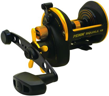 Picture of Penn Squall® Star Drag Reels