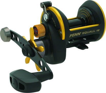 Picture of Penn Squall® Star Drag Reels