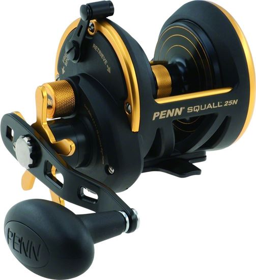 Picture of Penn Squall® Star Drag Reels