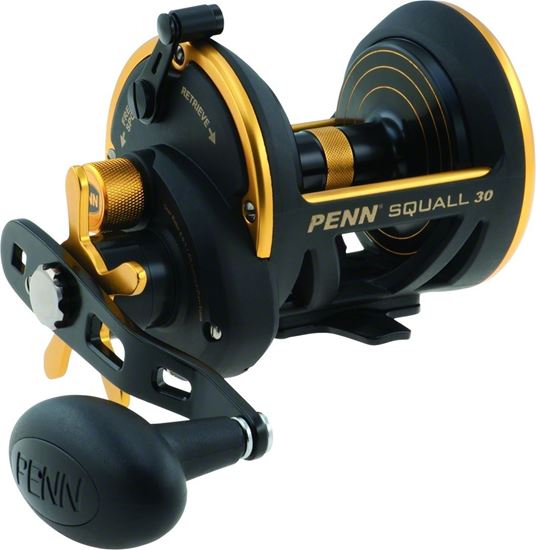 Picture of Penn Squall® Star Drag Reels