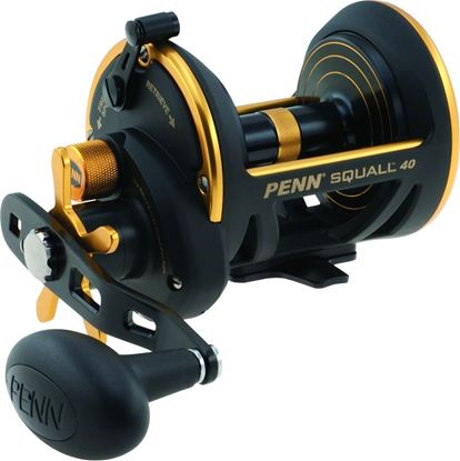 Picture of Penn Squall® Star Drag Reels