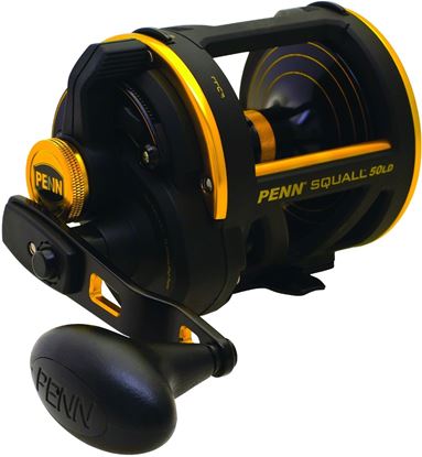 Picture of Penn Squall® Lever Drag Reels