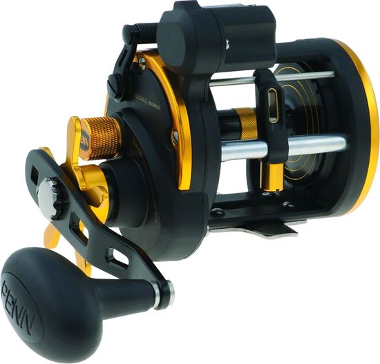 Picture of Penn Squall® Level Wind Reels