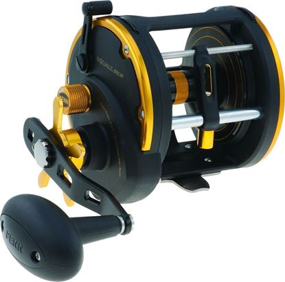 Picture of Penn Squall® Level Wind Reels