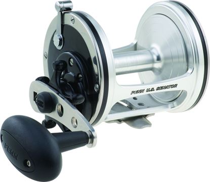 Picture of Penn US Senator Conventional Reels