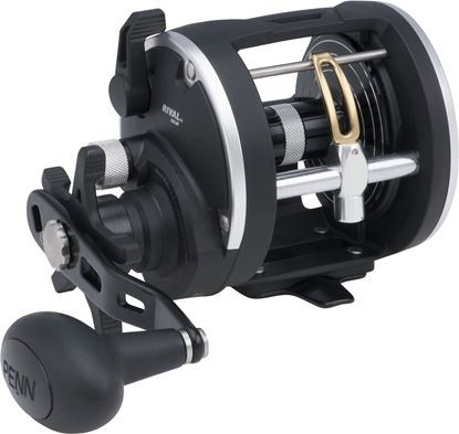 Picture of Penn Rival Level Wind Reels