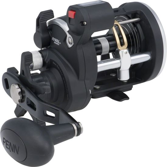 Picture of Penn Rival Level Wind Reels