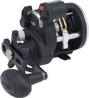 Picture of Penn Rival Level Wind Reels