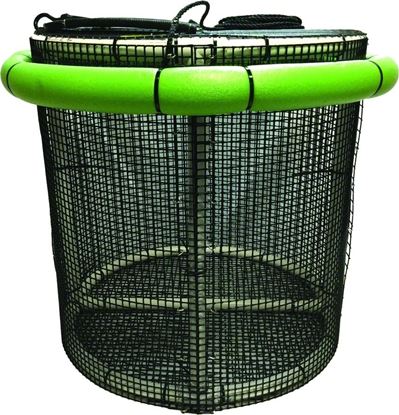 Picture of R&R CBP-XS-RD Extra Small Collapsible Round 2'x2'x2' Bait Pen