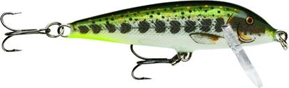 Picture of Rapala CountDown®