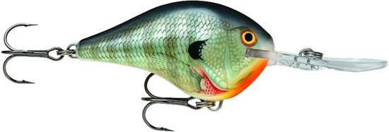 Picture of Rapala DT® (Dives-To)