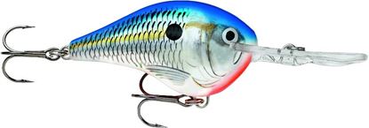 Picture of Rapala DT® (Dives-To)