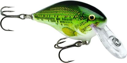 Picture of Rapala DT® (Dives-To)